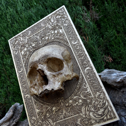 Handmade Human Skull Replica