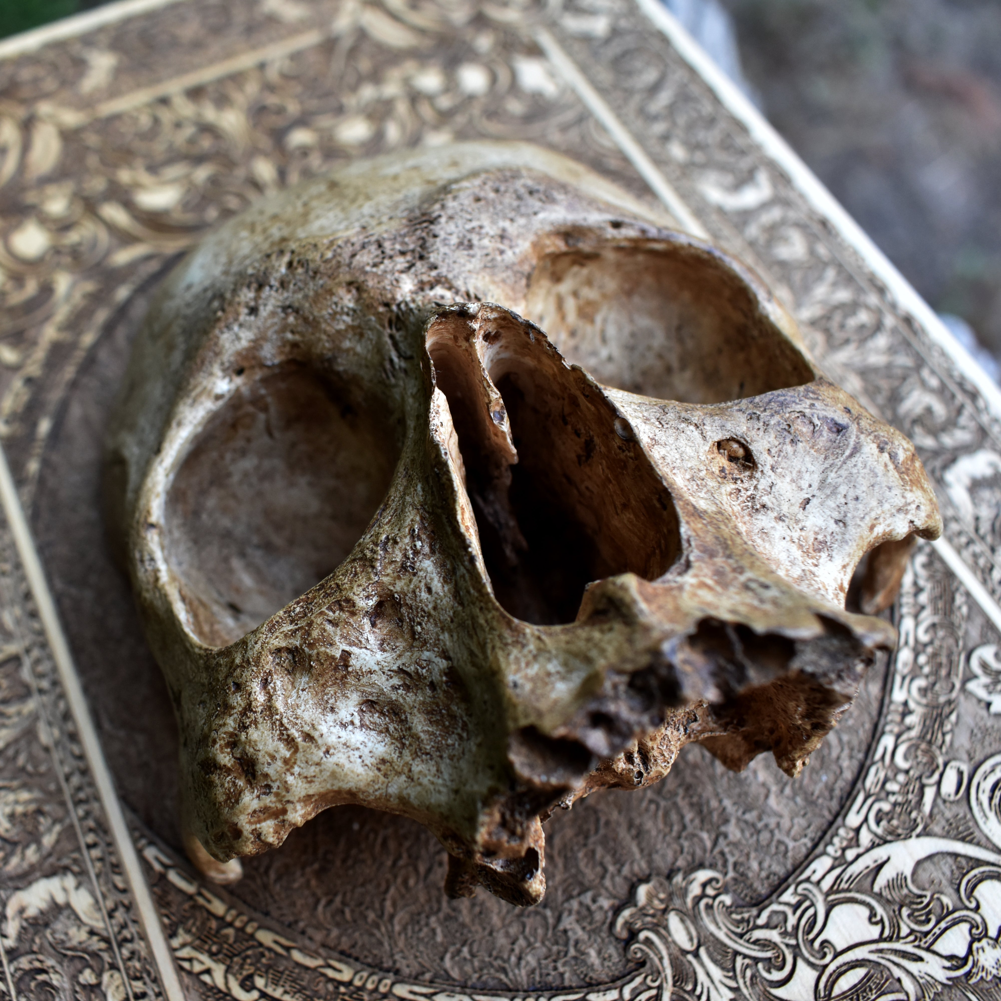 Handmade Human Skull Replica